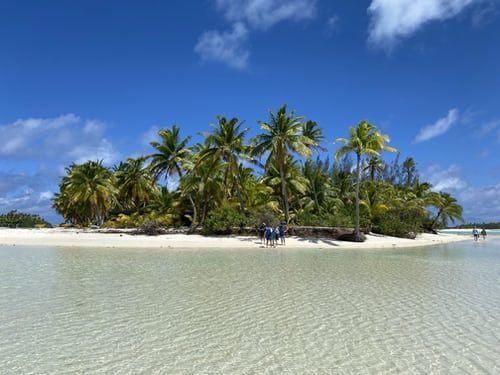 A small island in the Cook Islands with palm trees and clear water